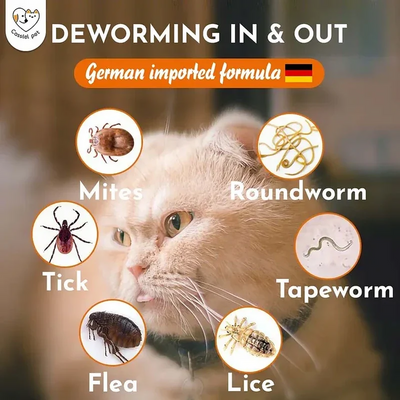 Avermectin Flea, Tick, Mite & Deworming Solution