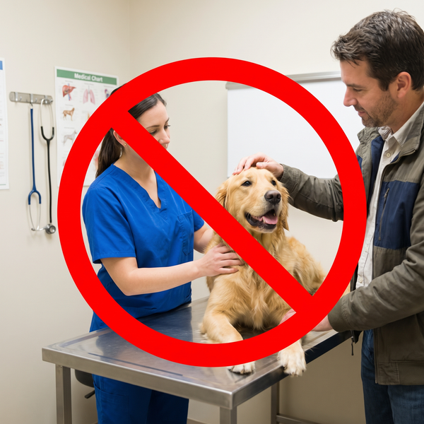 Avoid Vet Cleanings