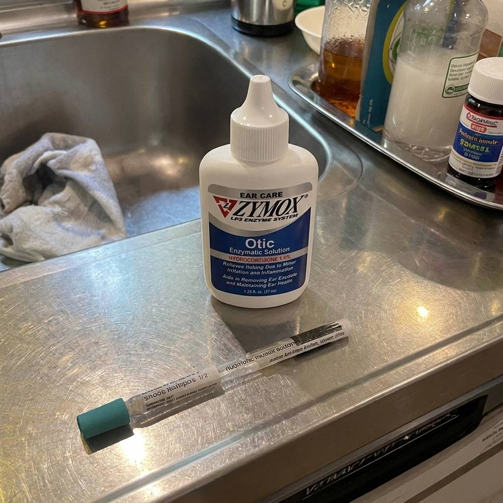 1. It Breaks the Expensive Vet Relapse Cycle