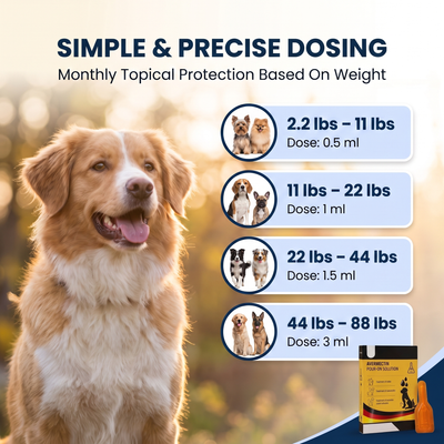Avermectin Flea, Tick, Mite & Deworming Solution
