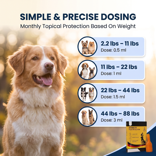 Avermectin Flea, Tick, Mite & Deworming Solution